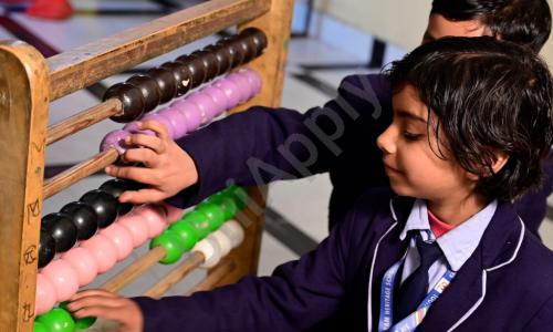 Sir Chhotu Ram Heritage School — photo 3