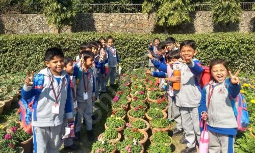 SKS World School — photo 2
