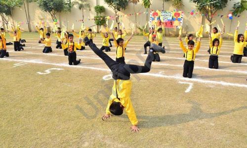 SKS World School — photo 4