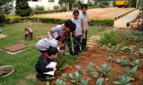 Smrti Academy — photo 3