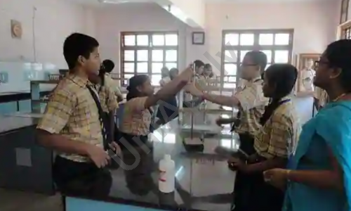 SMT Taramai Vartak Memorial Academy — photo 8