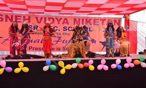 Sneh Vidya Niketan Senior Secondary School — photo 4