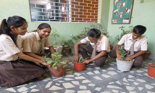 Sona Public School — photo 3