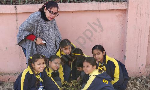 Sophiya Public Junior High School — photo 4