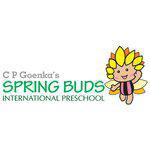 Spring Buds International Preschool logo