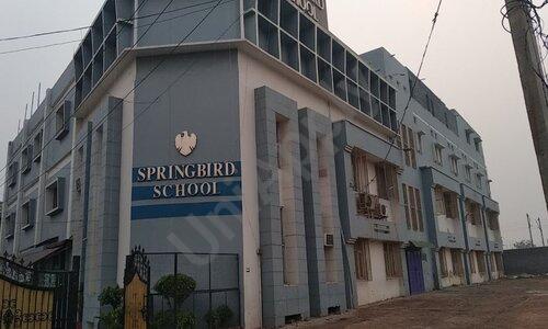 Springbird School — photo 1