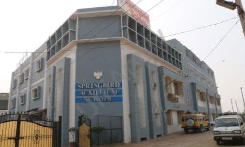 Springbird School — photo 2