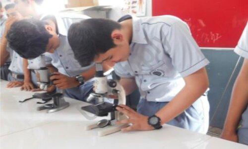 Springbird School — photo 4