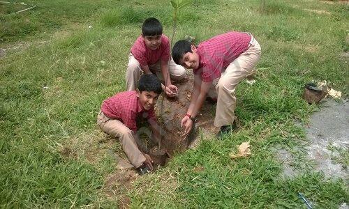 Sri Chaitanya Techno School — photo 5