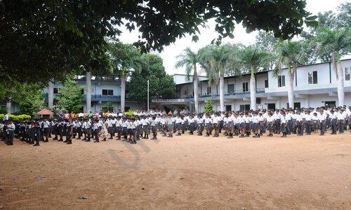 SSVN Public School — photo 5