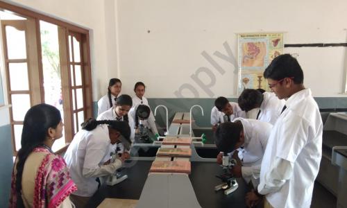 St. Dominic’s School — photo 5