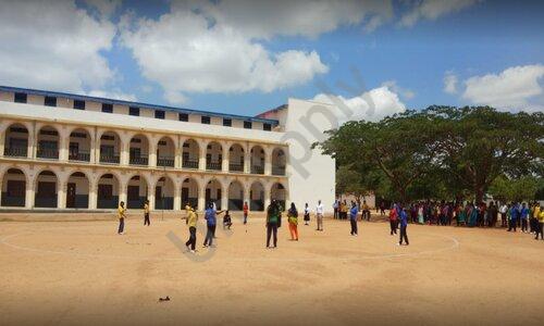 St. Dominic’s School — photo 8