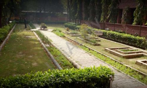 St. Francis De Sales Senior Secondary School — photo 8