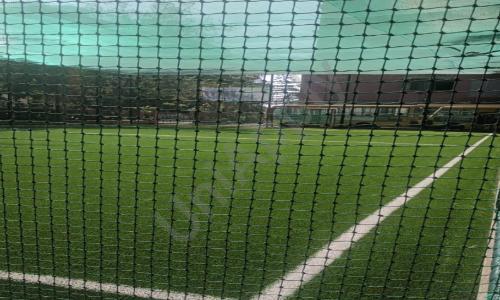 St. Francis High School — photo 14
