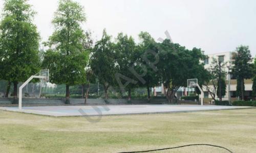 St. John's Public School — photo 2