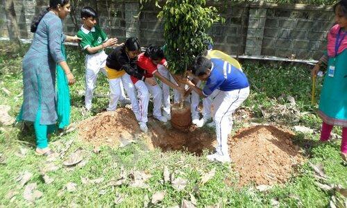 St. Joseph Chaminade Academy — photo 4