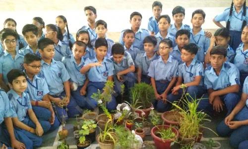 St. Krishna Bodh Public School — photo 3