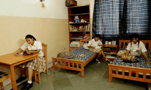 Starex International School — photo 2