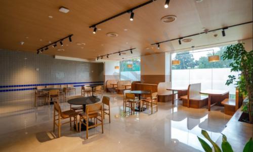 Stellar World School — photo 13