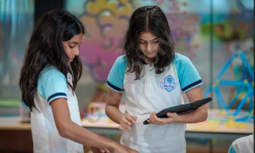Stellar World School — photo 17