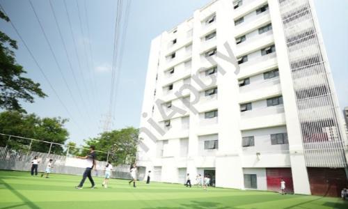 Stellar World School — photo 4