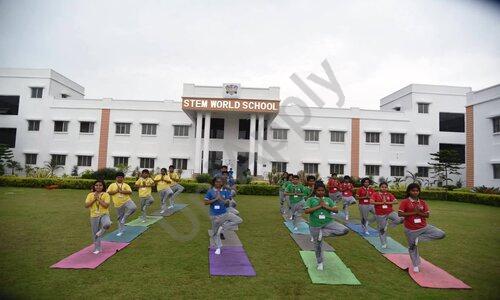 STEM World School — photo 1