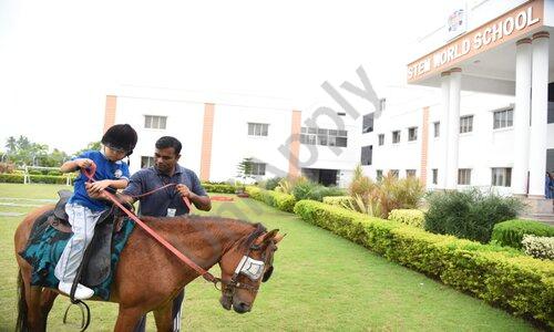 STEM World School — photo 6