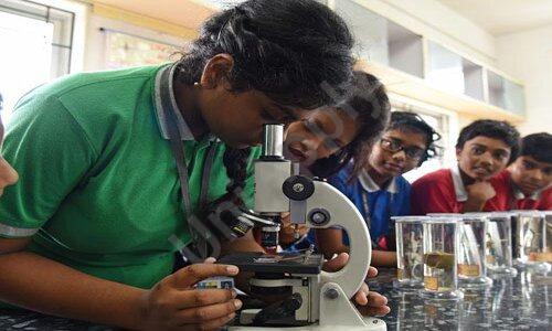 STEM World School — photo 11