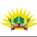 Stemfield International School logo