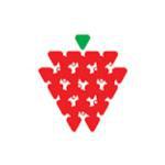 Strawberry Fields High School logo