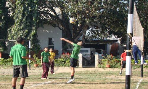 Summerfield School — photo 7