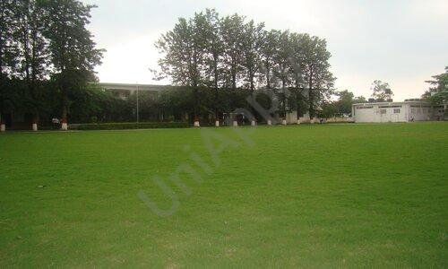 Summerfield School — photo 9