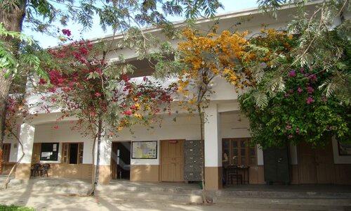 Summerfield School — photo 11