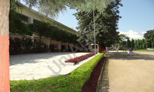 Summerfield School — photo 13