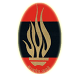Summerfield School logo