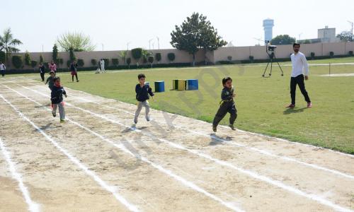 Sunrise International School — photo 17