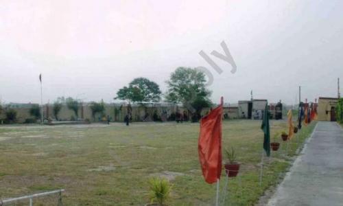 Sunshine Public School — photo 6