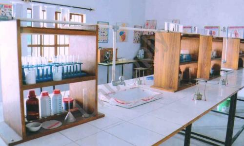 Sunshine Public School — photo 8
