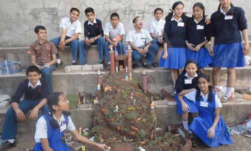 Symbiosis School — photo 2