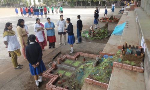 Symbiosis School — photo 14
