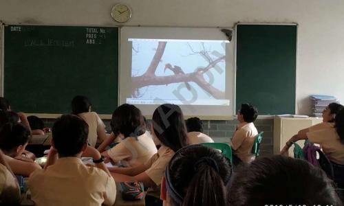 Tagore International School — photo 5