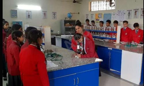 Tagore Shiksha Niketan — photo 10