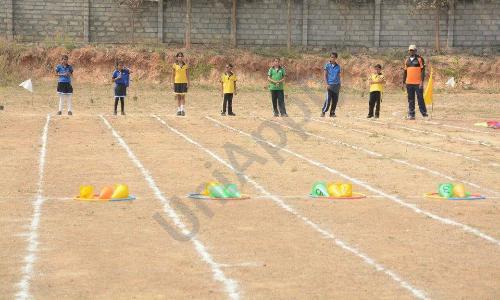 Tattva School — photo 6