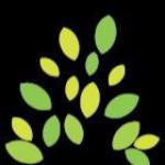 Tattva School logo