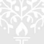 Tender Heart Senior Secondary School logo