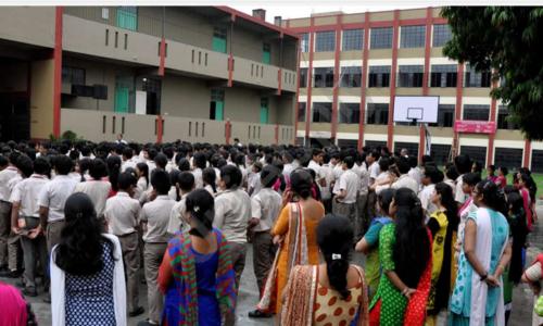 The Cambridge International School — photo 4