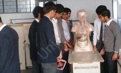 The Dev Public School — photo 1