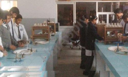 The Dev Public School — photo 3
