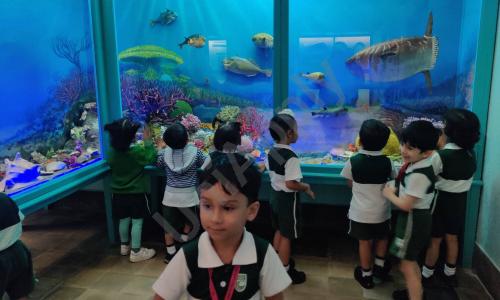 The Green Acres Academy — photo 12