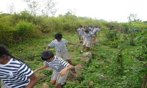 The Indian Public School — photo 8